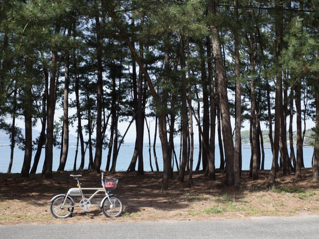 wimo 電動アシスト自転車「COOZY」|福岡・糸島 松林(ノルバイ糸島) 芥屋の大門(けやのおおと)