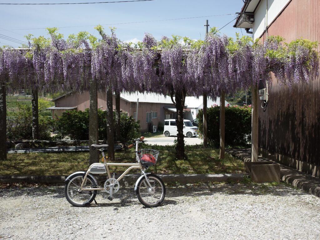 wimo電動アシスト自転車「COOZY」|ノルバイ糸島 雉琴神社(きじことじんじゃ) 雉琴神社(きじことじんじゃ)