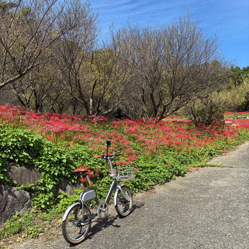 秋の糸島
